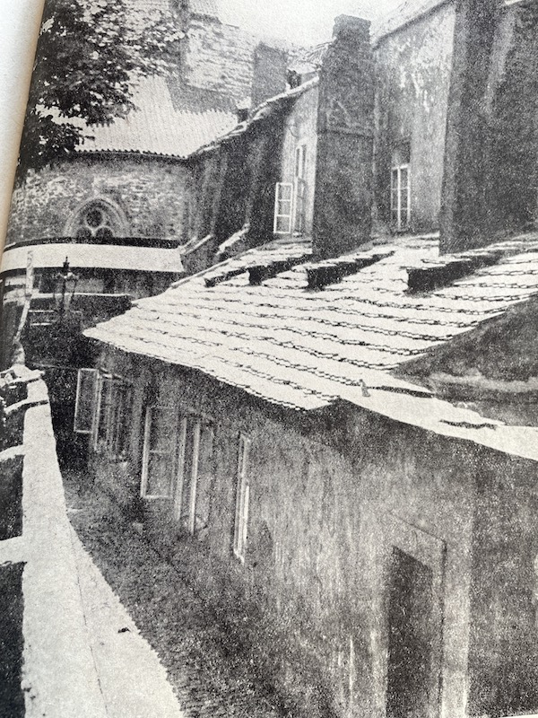 foto Včelička Praha