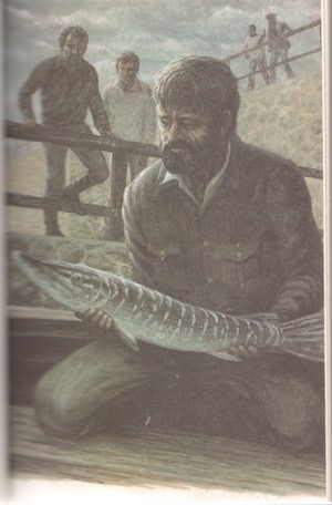  Zelené eldorádo, Ilustrace