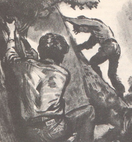 Ilustrace Dobrodružstv&iacute; v zemi nikoho