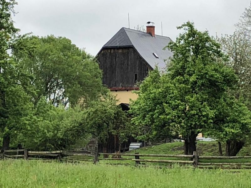 Das Wasserrad der Waldmühle 