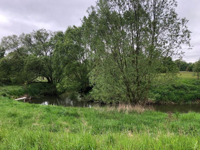 Die Windung an dem Mühlkanal 