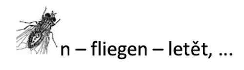 Fliege - konkrete Poesie